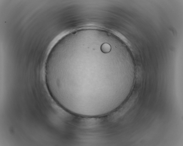 X0000113361474200910061029