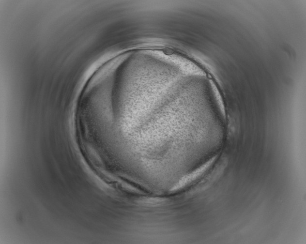 X0000113361475200910061029