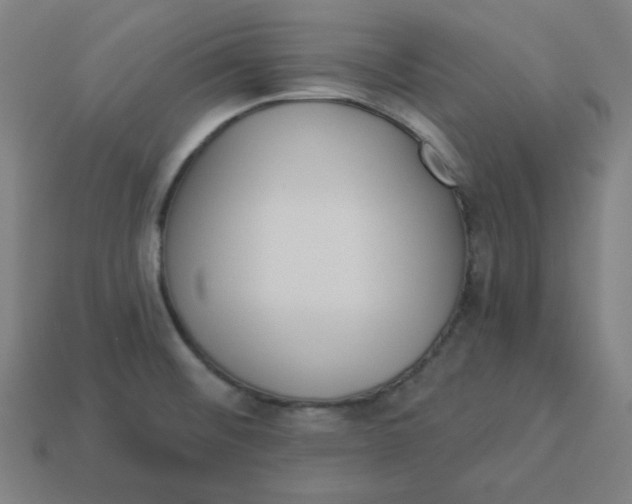 X0000113361476200910061029