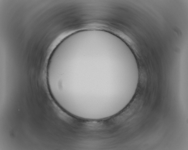 X0000113361478200910061029