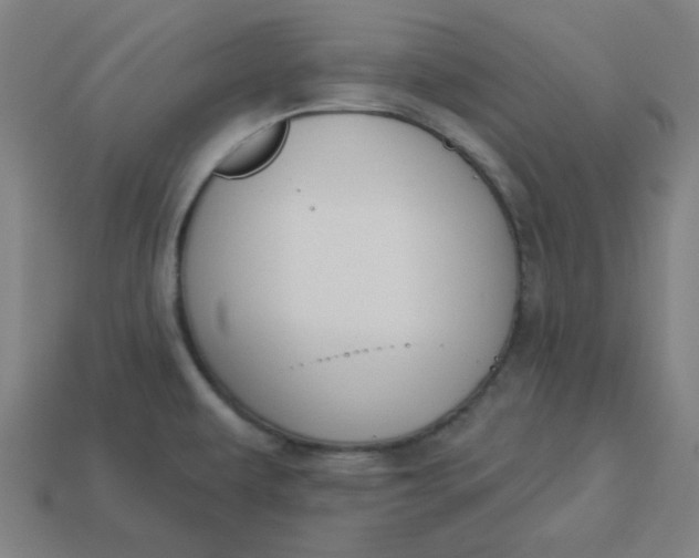 X0000113361479200910061029