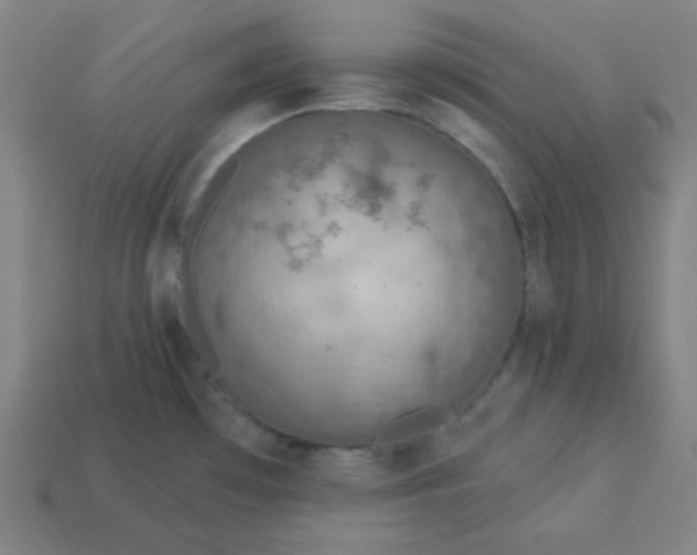 X0000113361481200910061029