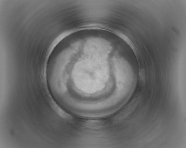 X0000113361482200910061029