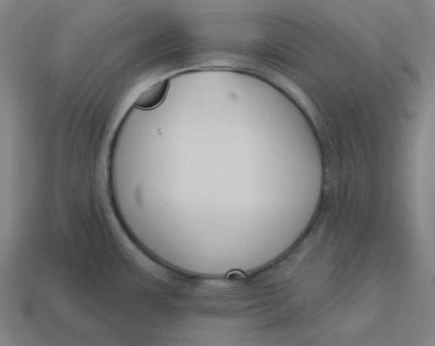 X0000113361483200910061029