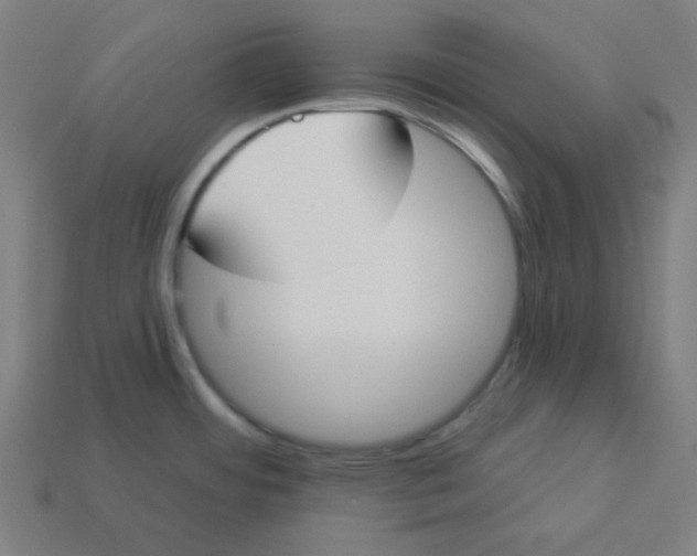 X0000113361484200910061029