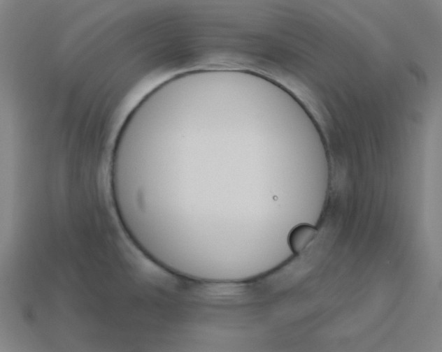 X0000113361486200910061029