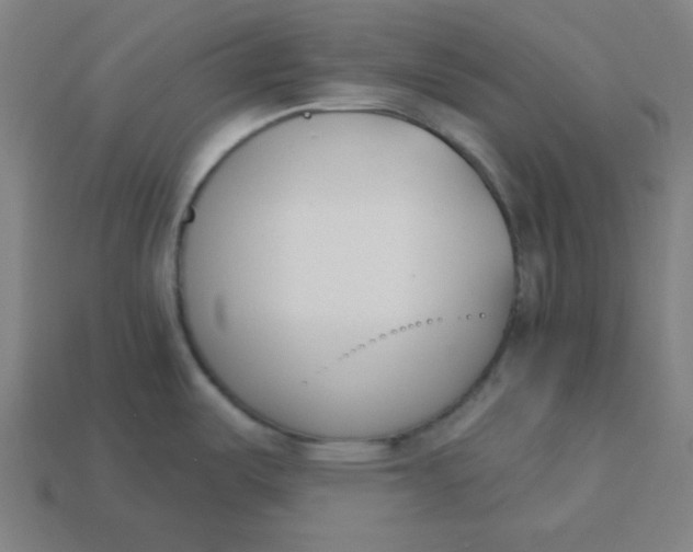 X0000113361487200910061029