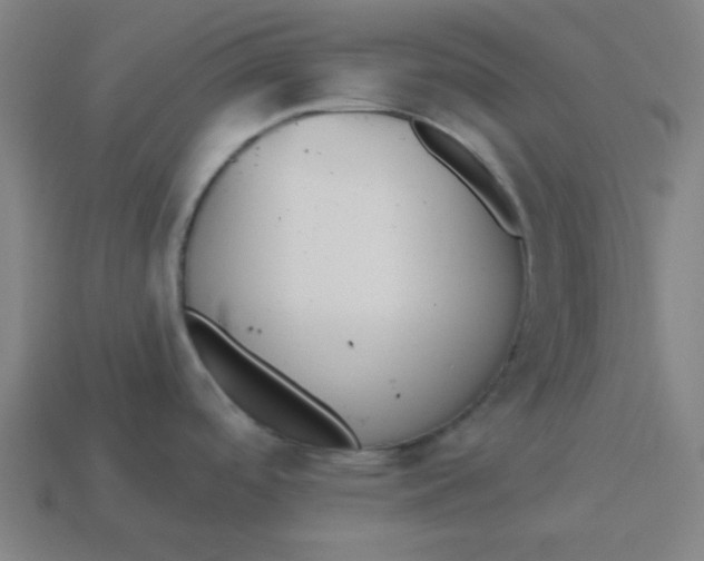 X0000113361488200910061029