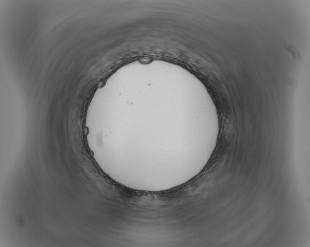 X0000113361489200910061029