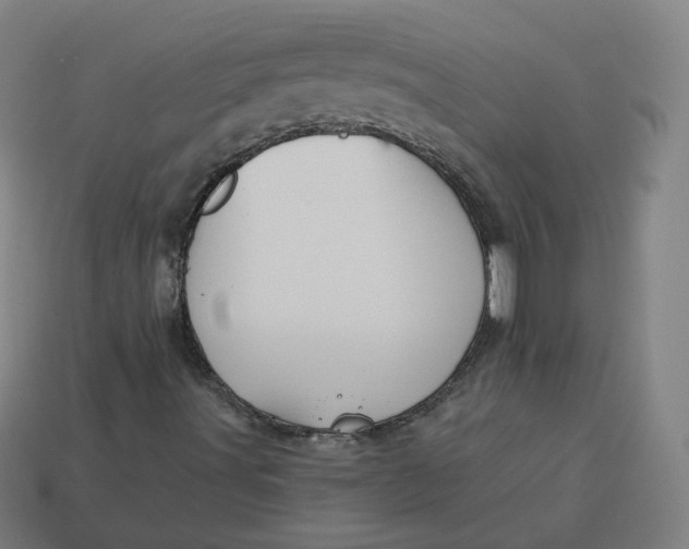 X0000113361491200910061029