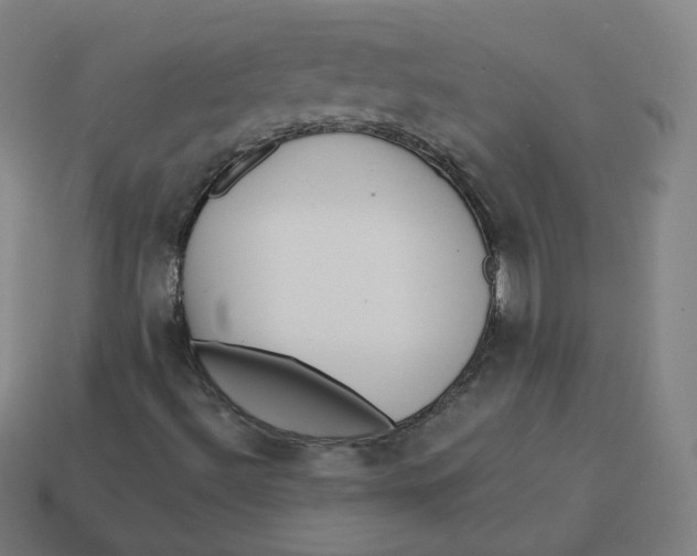 X0000113361492200910061029