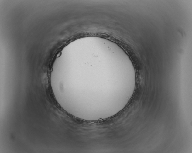 X0000113361493200910061029