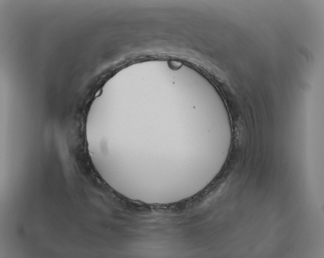 X0000113361494200910061029