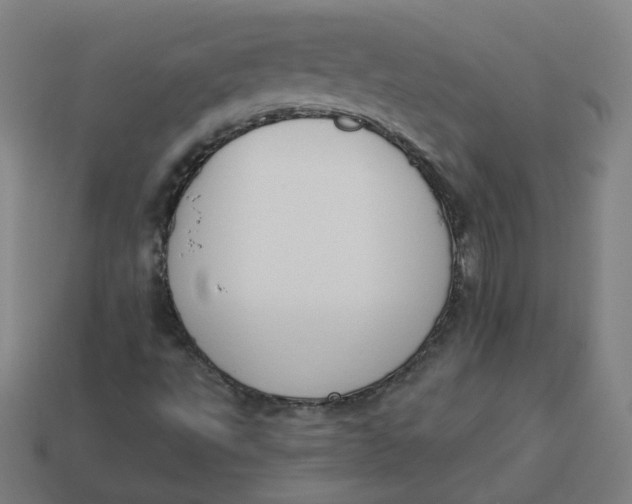 X0000113361495200910061029