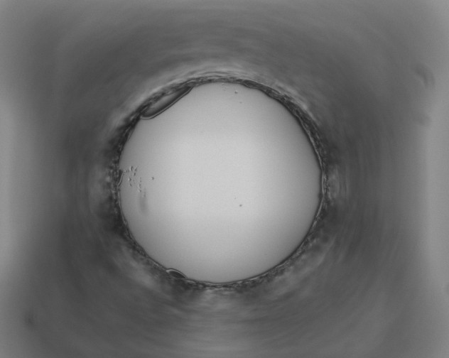 X0000113361496200910061029