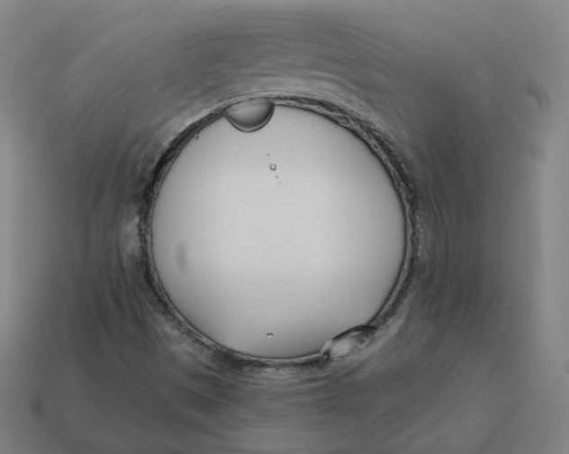 X0000113361497200910061029