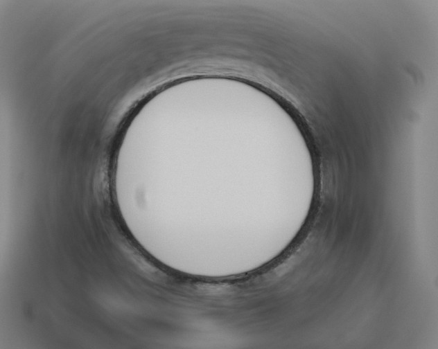 X0000113361498200910061029