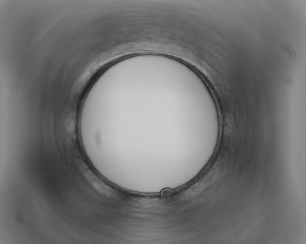 X0000113361499200910061029