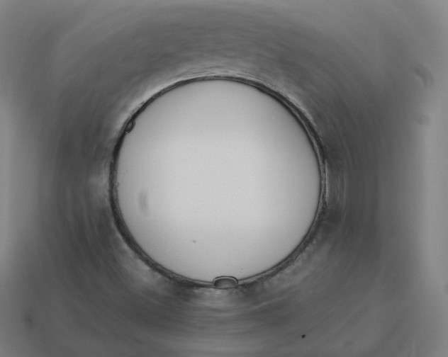 X0000113361500200910061029