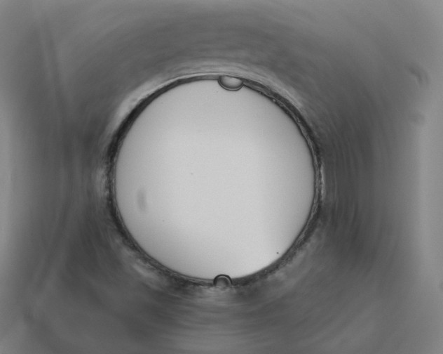 X0000113361501200910061029