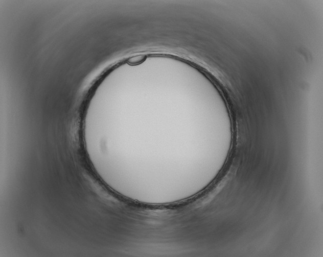 X0000113361502200910061029