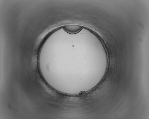 X0000113361503200910061029