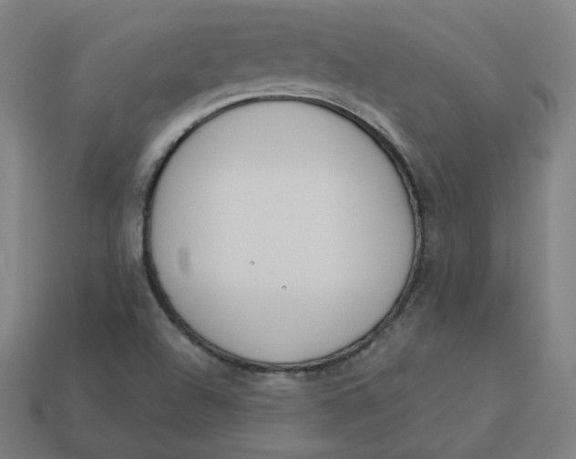 X0000113361504200910061029