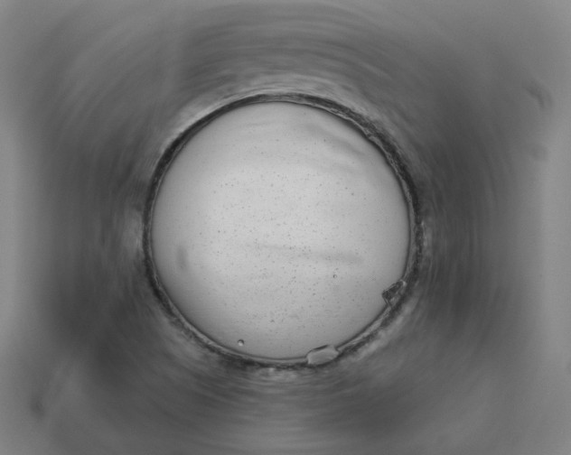 X0000113361505200910061029