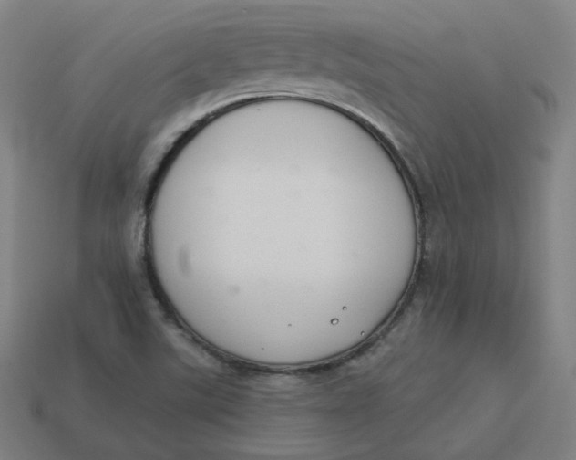 X0000113361507200910061029