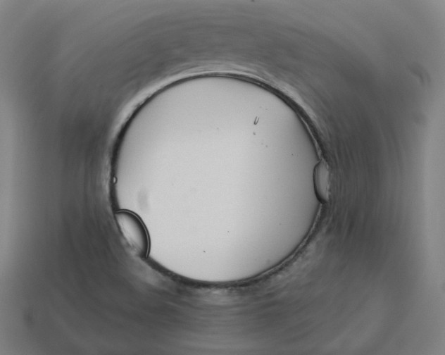 X0000113361508200910061029