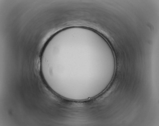 X0000113361509200910061029