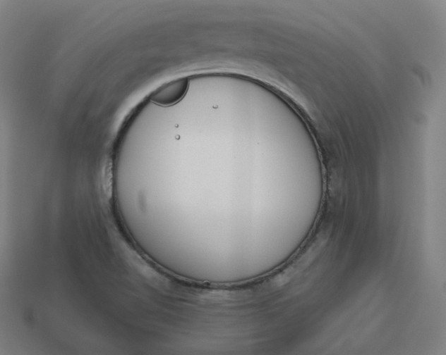 X0000113361510200910061029