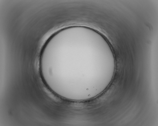 X0000113361511200910061029