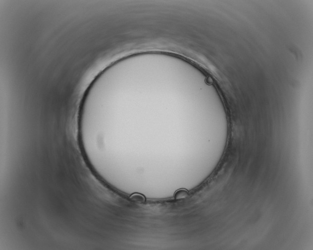 X0000113361512200910061029