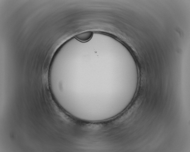 X0000113361513200910061029