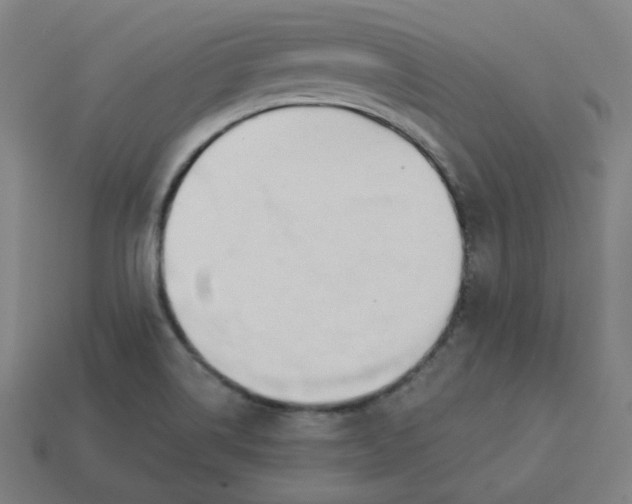 X0000113361514200910061029