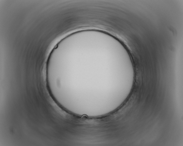 X0000113361516200910061029