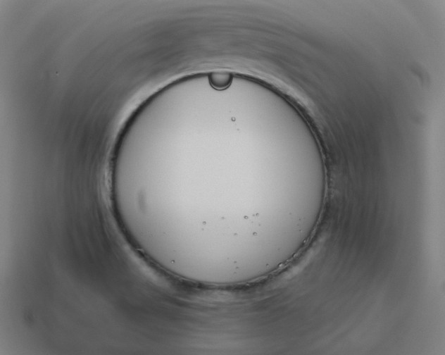 X0000113361517200910061029