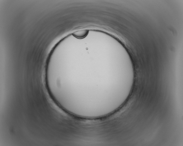 X0000113361518200910061029