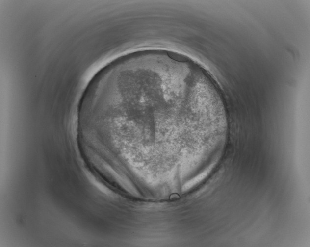 X0000113361519200910061029