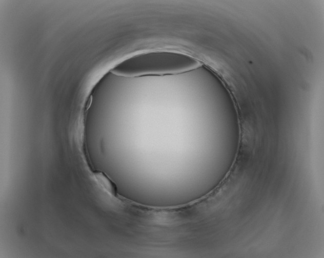 X0000113361520200910061029