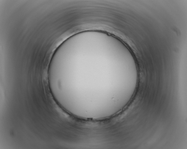 X0000113361521200910061029