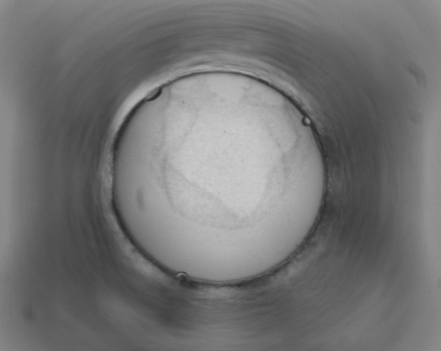 X0000113361522200910061029