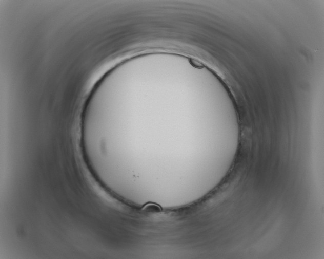 X0000113361523200910061029