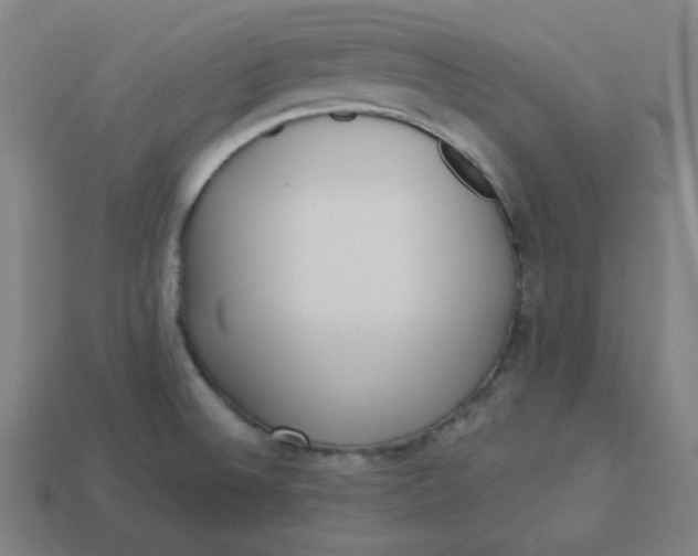 X0000113361524200910061029