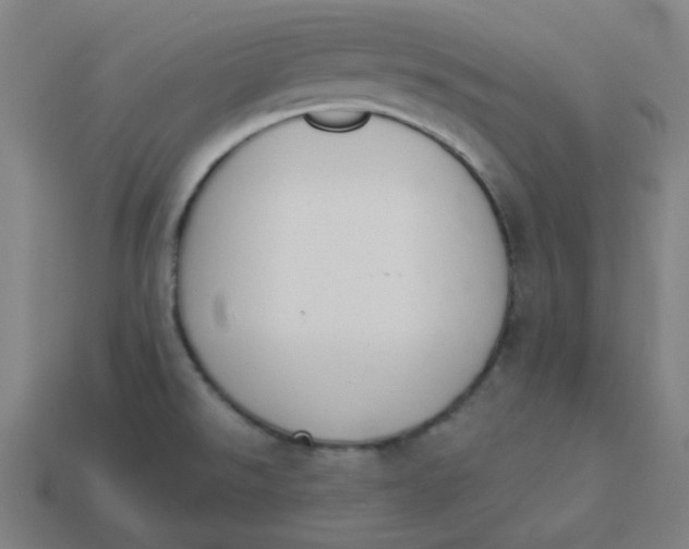 X0000113361526200910061029