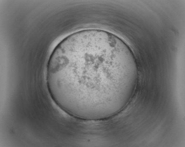 X0000113361527200910061029