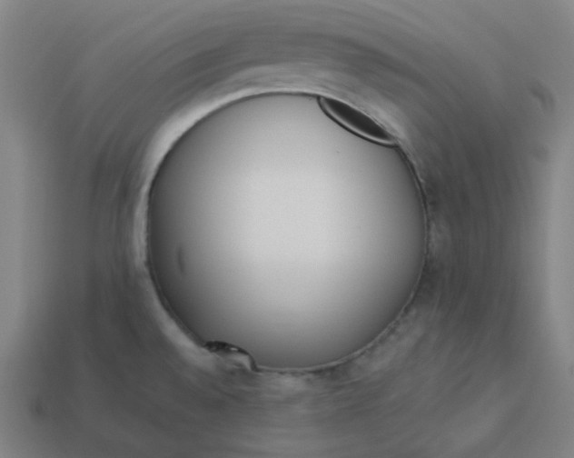 X0000113361528200910061029