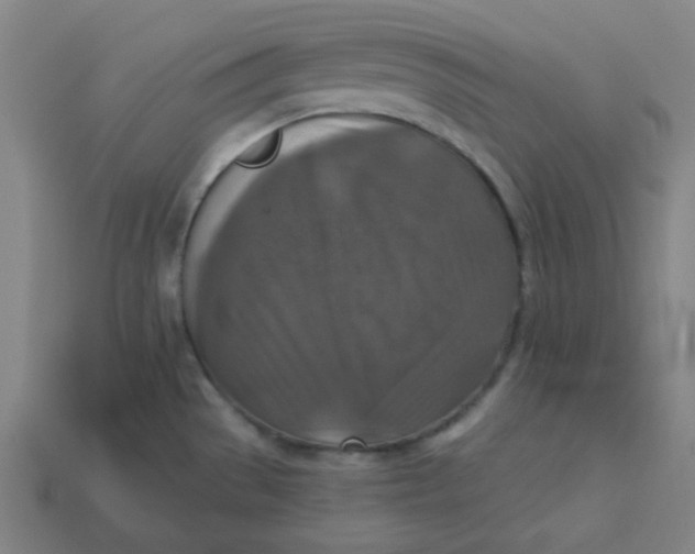 X0000113361529200910061029