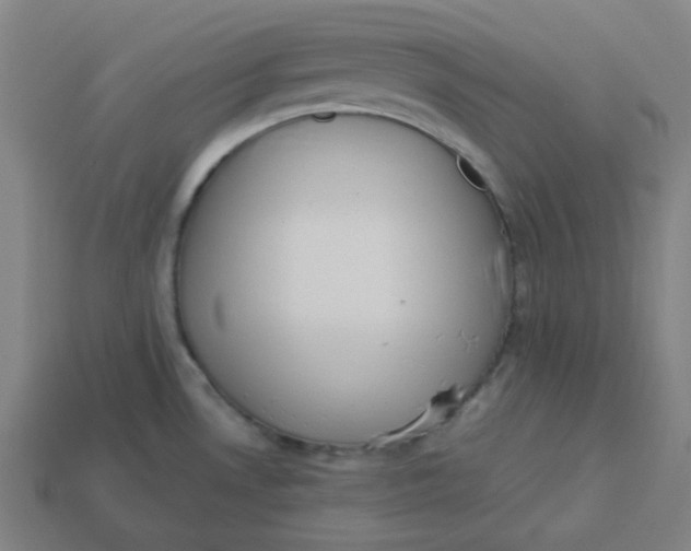 X0000113361530200910061029